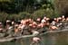 200805_Reunion_43