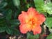 200805_Reunion_46