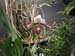 200805_Reunion_56