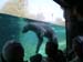 200805_Reunion_67
