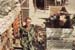 196869_Danang_Curt_06