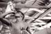 196869_Danang_Curt_20