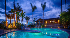 Island Palms