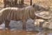 India_South_40